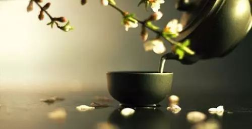茶与花 | 茶道花道,造就了自然美感的天地至理