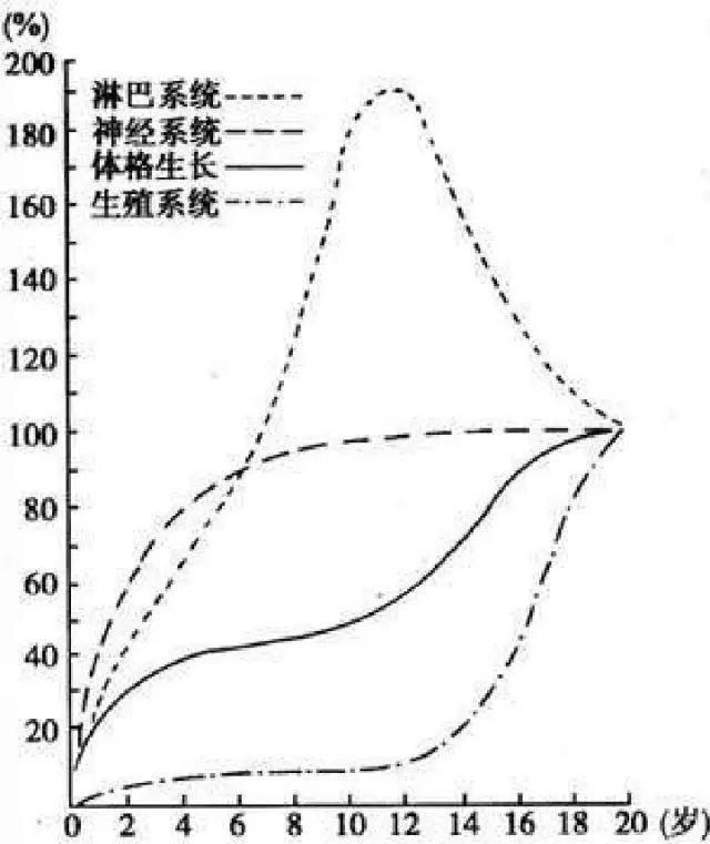 (大脑发育的速度)