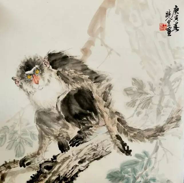 名家王晓云一手活灵活现的猴子画的真的好