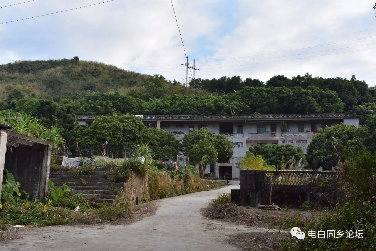 【马踏】【岭门】【树仔】【麻岗】【旦场】【博贺】【电城】,【七迳