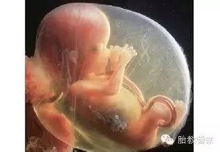 胎儿打嗝是什么感觉,算是胎动吗?