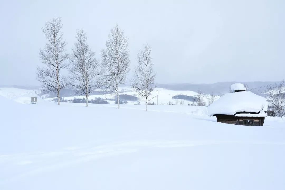 北海道的雪,满足了我对冬天的所有幻想!