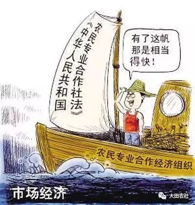 《农民专业合作社法》再次修订,这些好处你都知道吗?