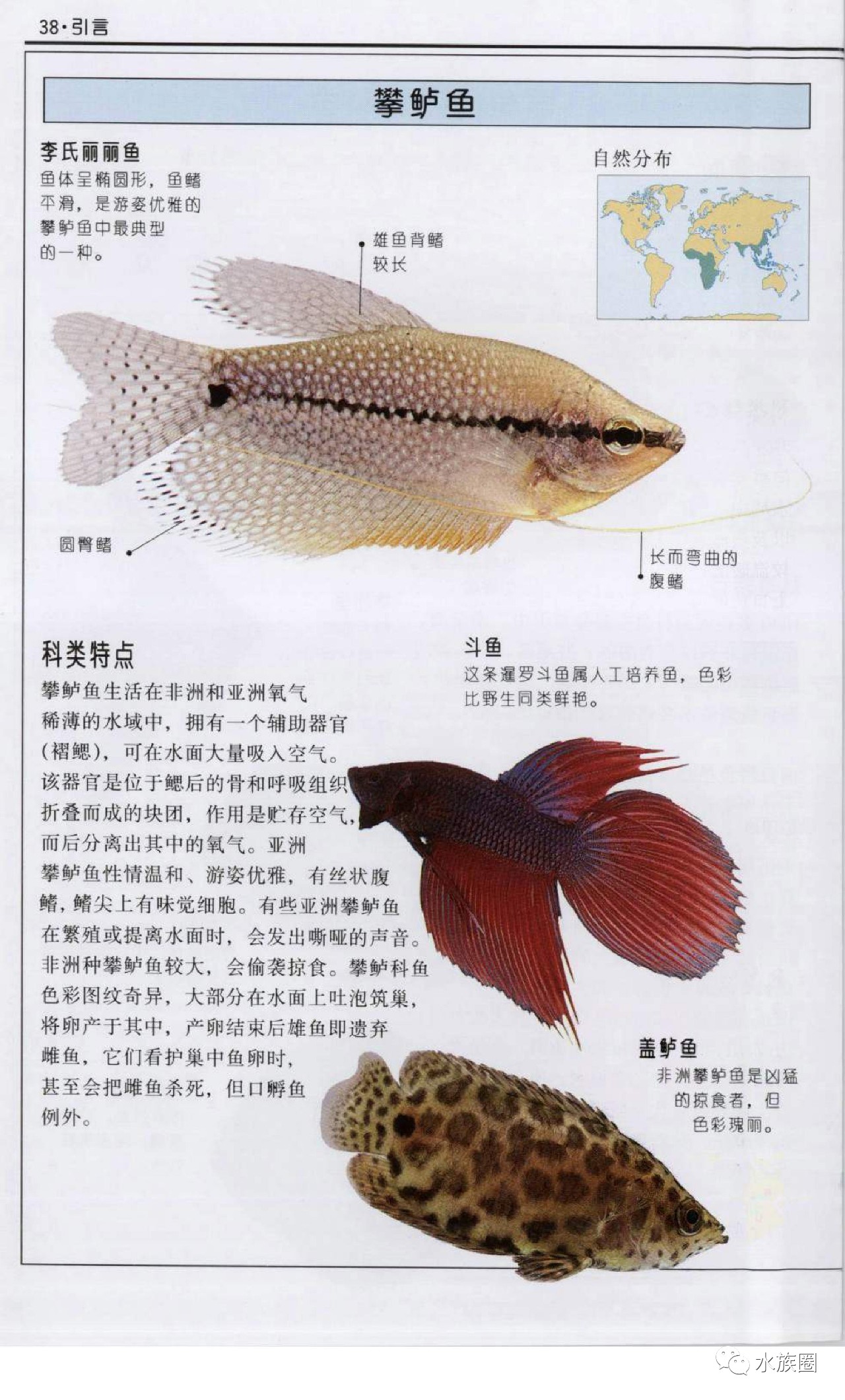 中国渔业科普系列：国民淡水鱼之草鱼_凤凰网视频_凤凰网