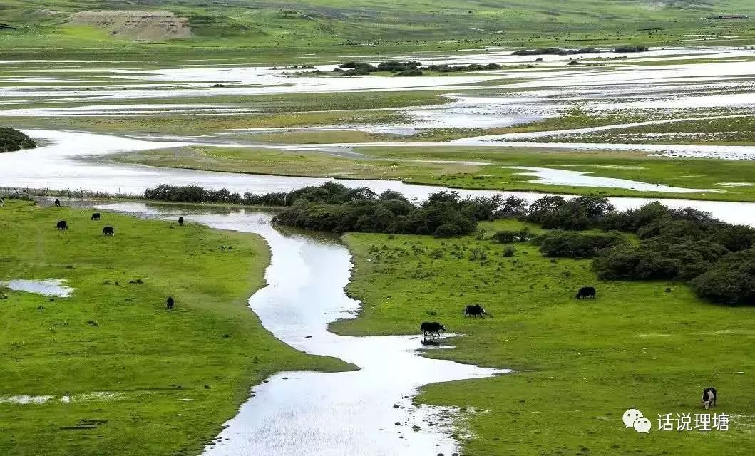 理塘人口哦_理塘风景