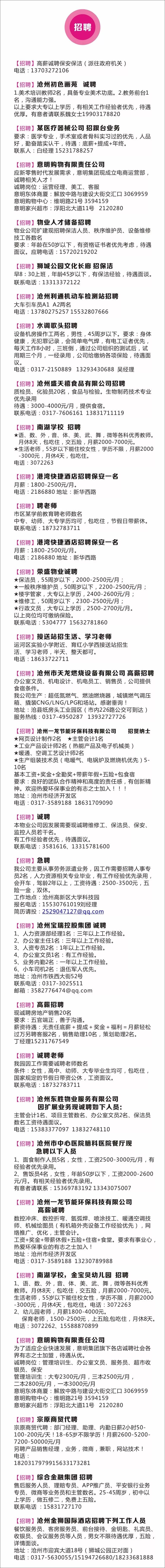 沧州晚报 招聘 家教 求职 分类广告信息热线 431 电话 微信 Qq
