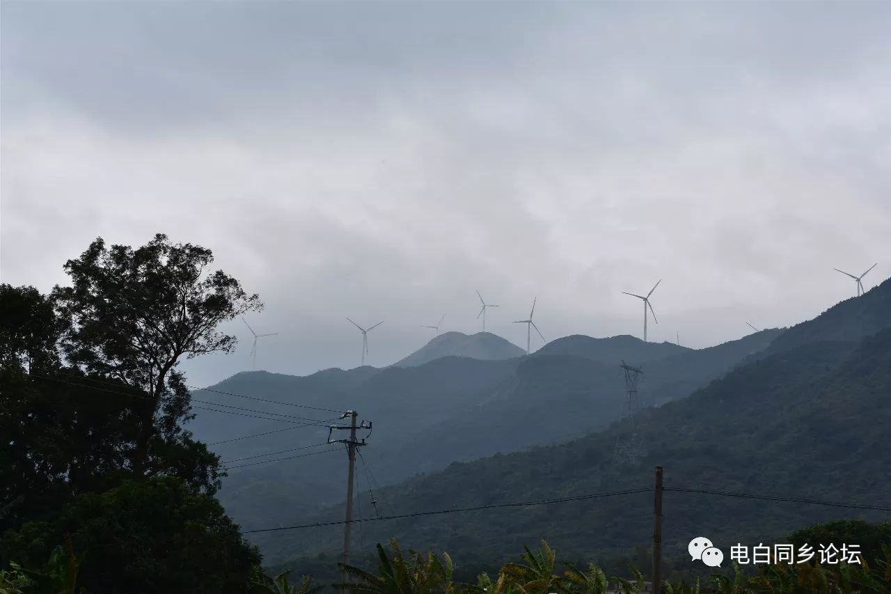 黄岭镇,那霍镇,罗坑镇这三个镇地处电白的最北端处于崇山峻岭的包围之