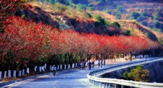 攀枝花,一座以花命名的城市,年日照时数2700小时,一年四季阳光明媚.