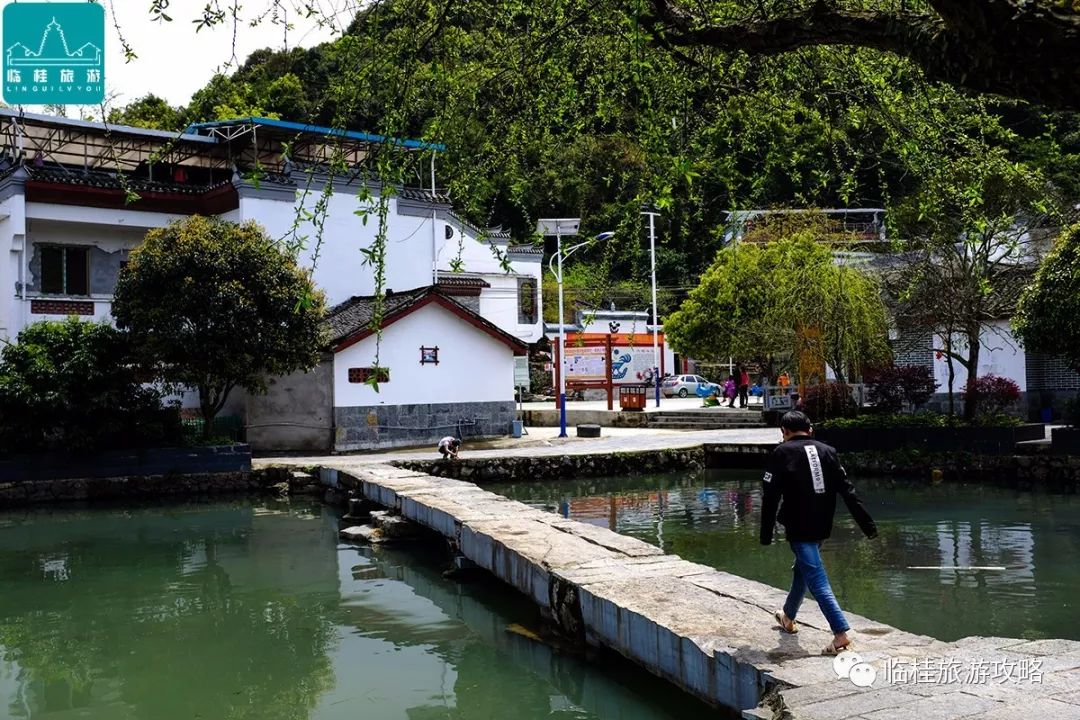 张国丽 记者孙敏)日前,临桂六塘镇岚岩村国家级美丽乡村建设标准化