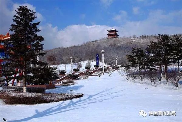 鲅鱼圈人口有多少_鲅鱼圈风景(2)