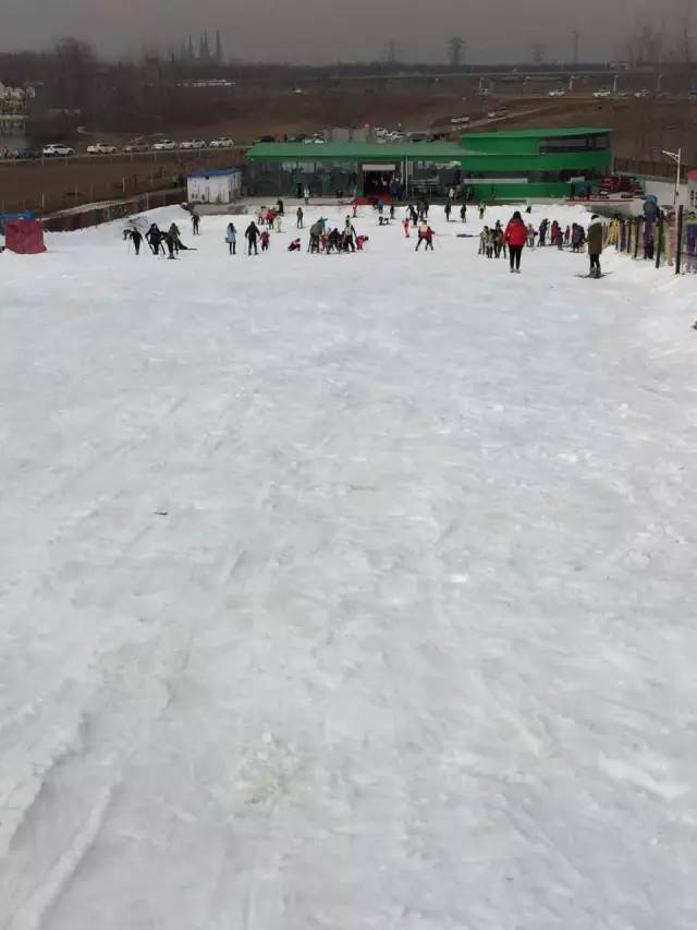 淮安古运河滑雪场 草莓采摘一日游!只需108元!