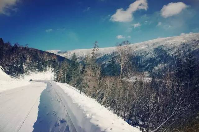 也可以选择翻山越岭,一路往西,去那个你念叨了好久的川藏,看与北国不