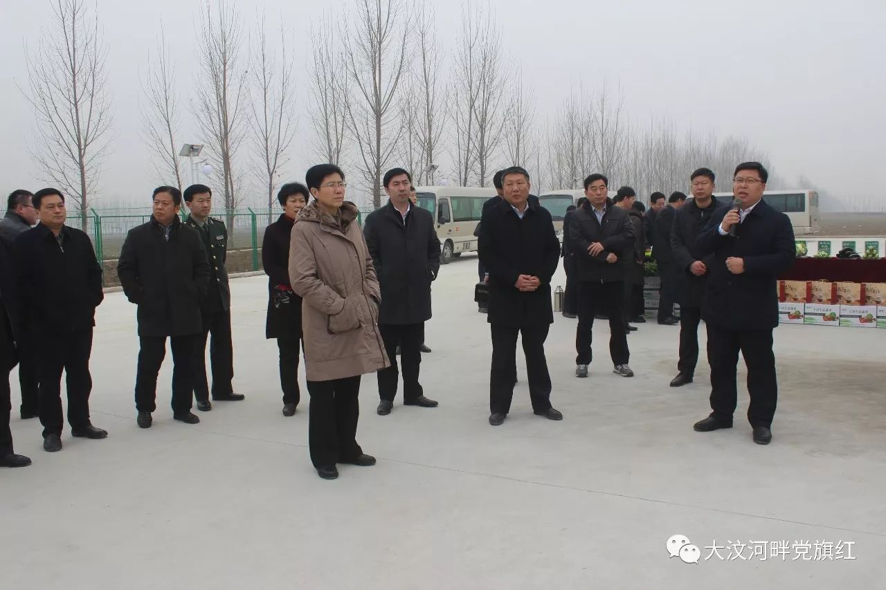 县委书记李志红带领全县科学发展现场观摩团到军屯乡观摩项目建设情况