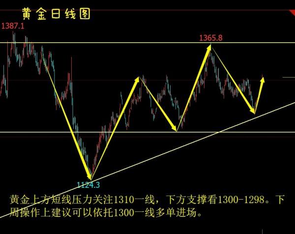 金泽gdp