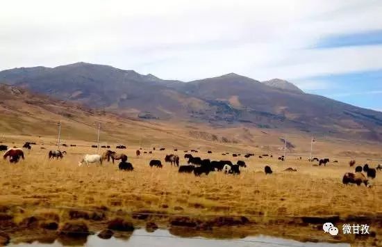 理塘人口哦_理塘风景(2)