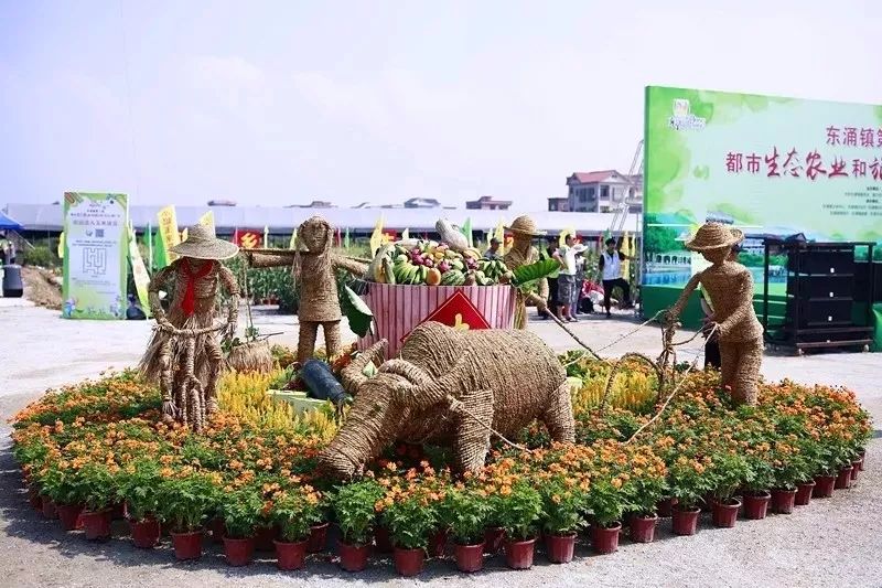 东涌镇农业生态旅游推广节今天开锣!错过要再等一年