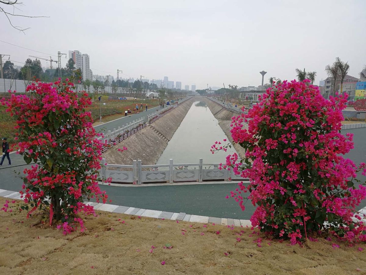 多图 视频曝光!北海市花公园太漂亮了!