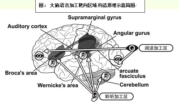 什么是教育基本原理_外挂防封是什么原理(2)