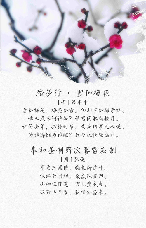 春雪 【作者】韩愈 【朝代】唐 新年都未有芳华,二月初惊见草芽.