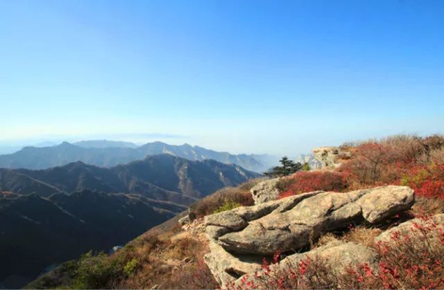 天高云淡,空气清新,满山红叶,层林尽染,登高望远,心旷神怡.