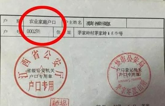 寄户人口分户_人口普查