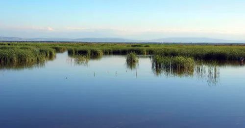 沙湾千泉湖国家湿地公园