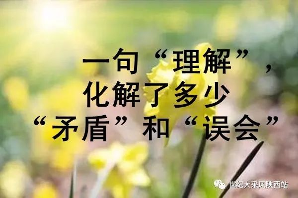 一句理解化解了多少矛盾和误会说的真好