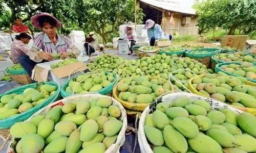 百色同意田阳申请撤县设区,广西这几个县正在