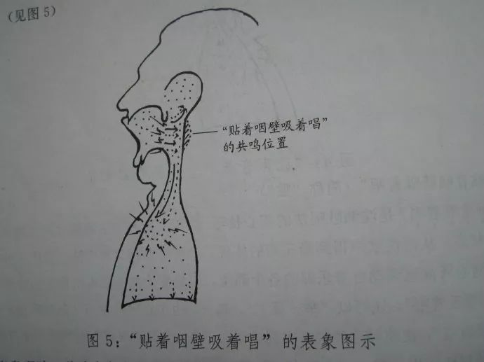 在发声过程中,要注意"看"咽壁上具有振动感的音响和集中明亮的共鸣