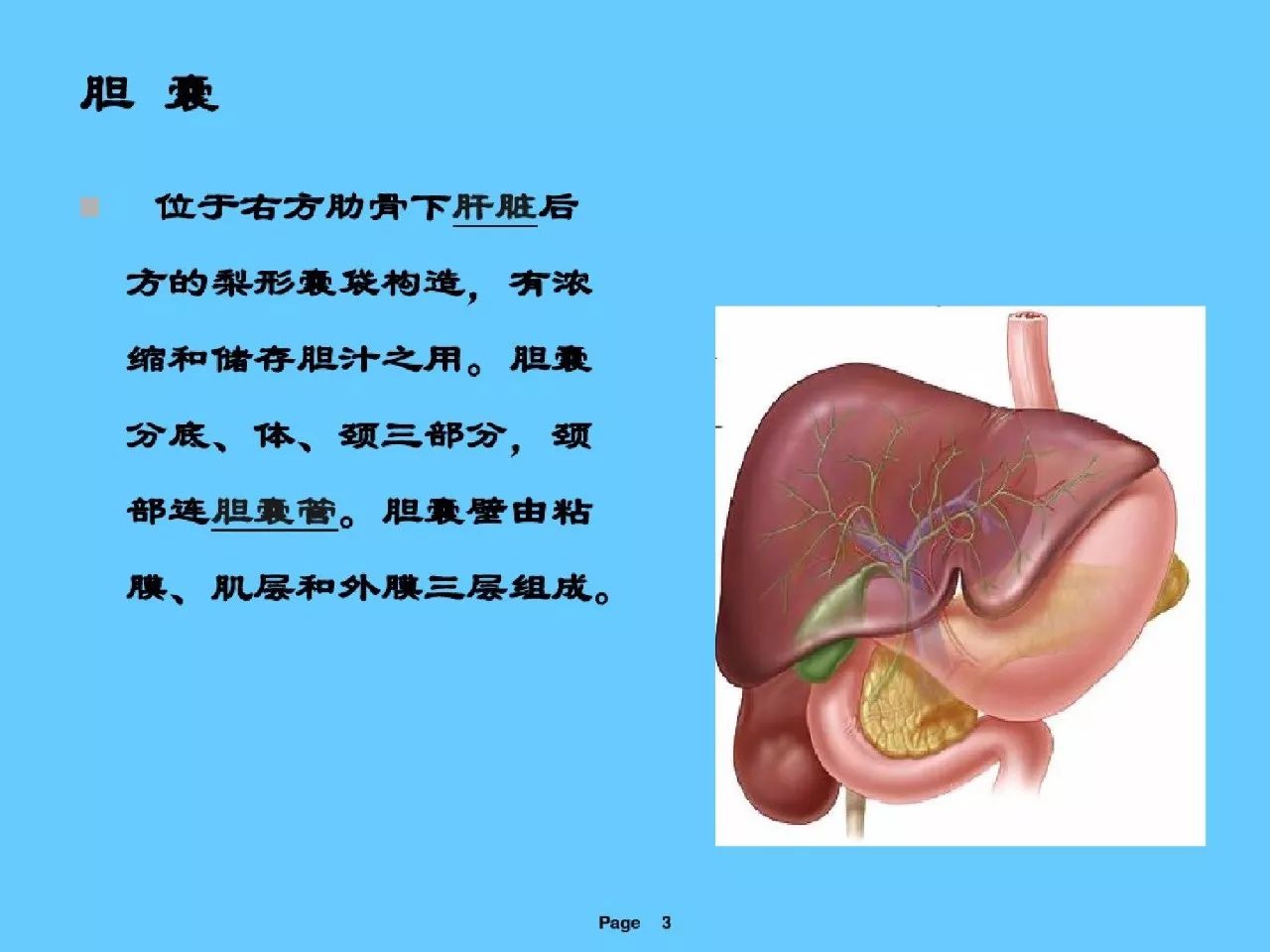 急性结石性胆囊炎病人的护理