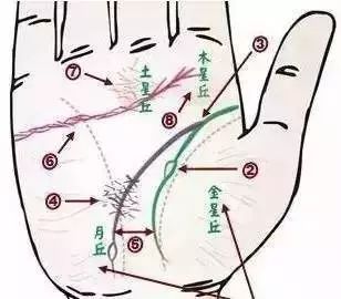 月丘,金星丘肌肉发育不良,扁平而薄弱,表示生活力脆弱,坚毅不足,自卑