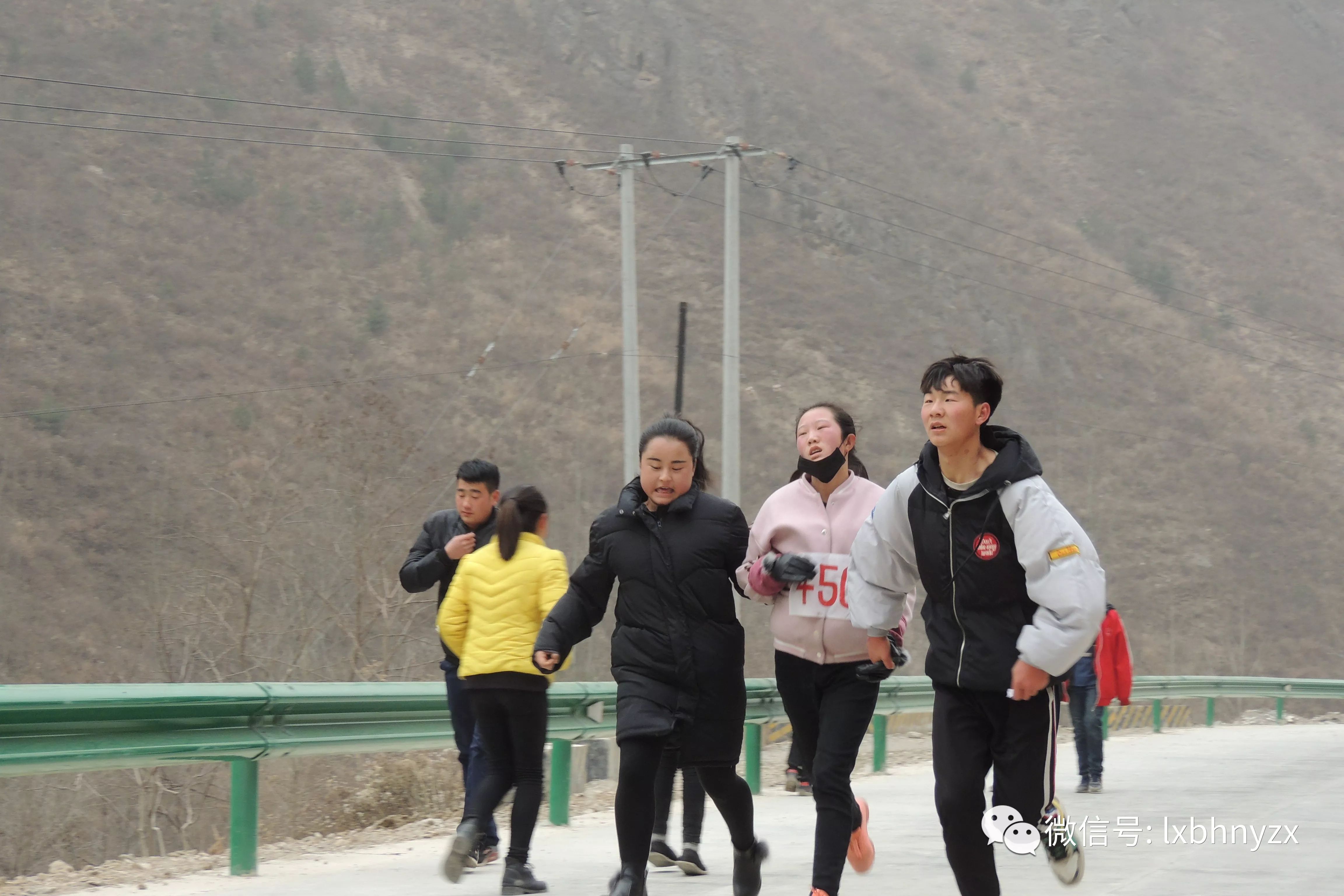 礼县有多少人口_礼县土地流转 在家门口年入上万的新模式(2)