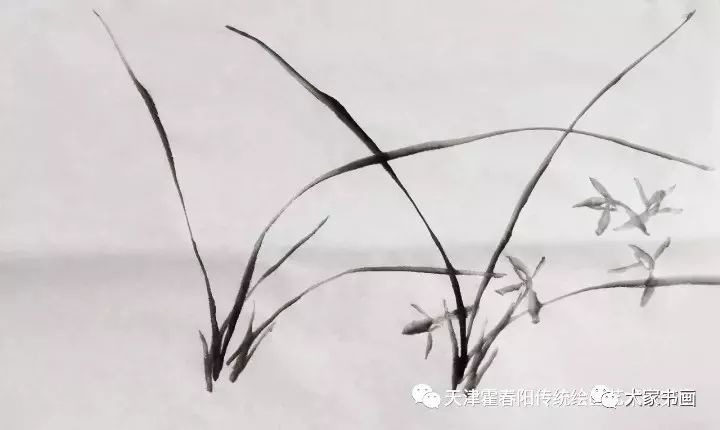 书画名家经典课堂霍春阳教授示范石头兰草画法视频