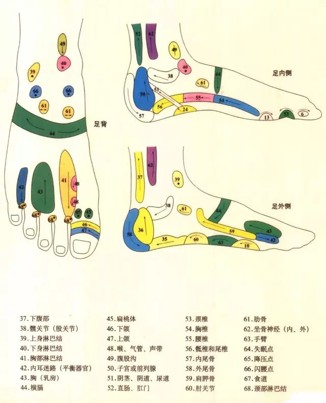 背部反射区高清图解 脚部反射区高清图解 责任编辑