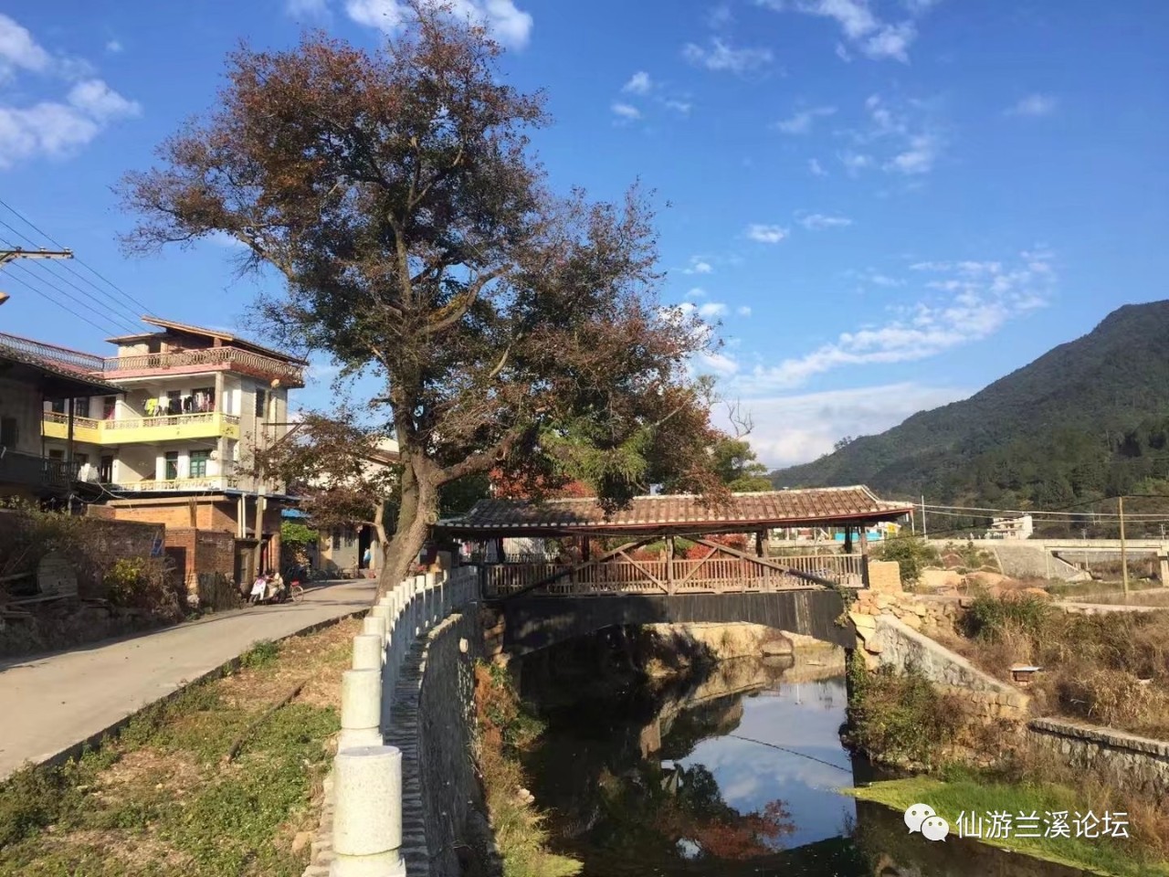 仙游县溪车村在外人口_仙游县钟山镇朗桥村