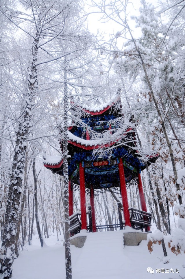 诗文赏析l钗头凤雪吟