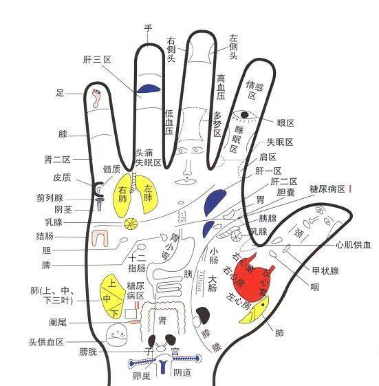 手诊面诊色诊大全图谱学者医者可以用