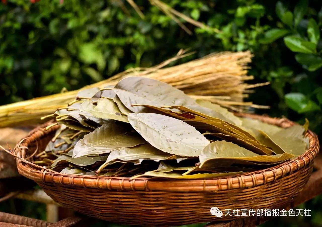 三月里,天柱美食冠军-记忆里的乡愁"三月粑"!