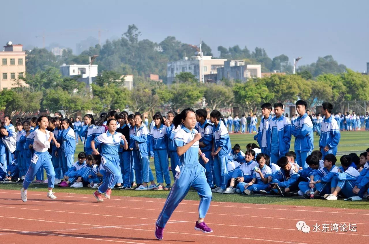 校园体育|2017电白一中学生运动会赛场掠影