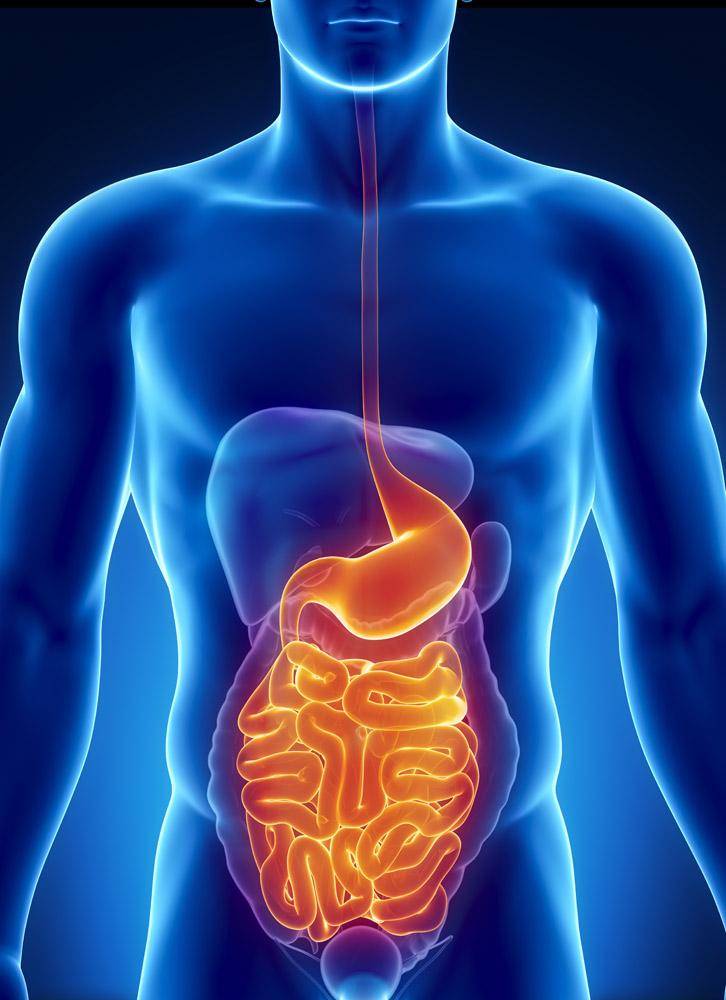 4丶肠胃功能失调 图片合集