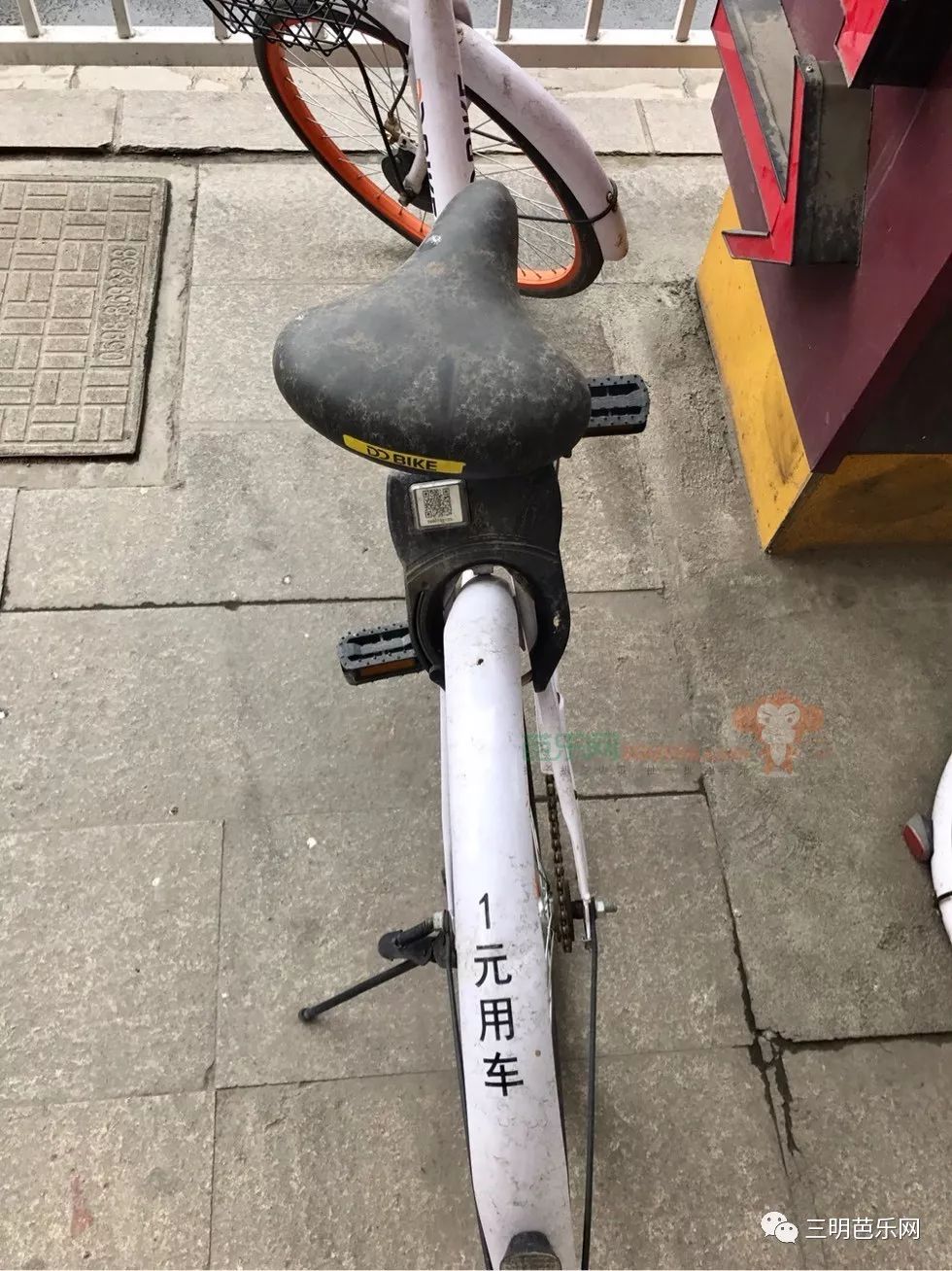 市区的公共自行车道即将建好,而三明街头的共享单车却