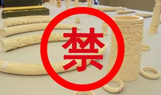 孟山都人口灭绝计划_625亿美元 拜耳明日将买下孟山都 全球农化格局生变(2)