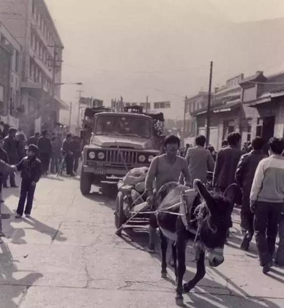 街景栈道铁索桥旧城门60年代的武都老城武都滨河路变迁文县原康县第一