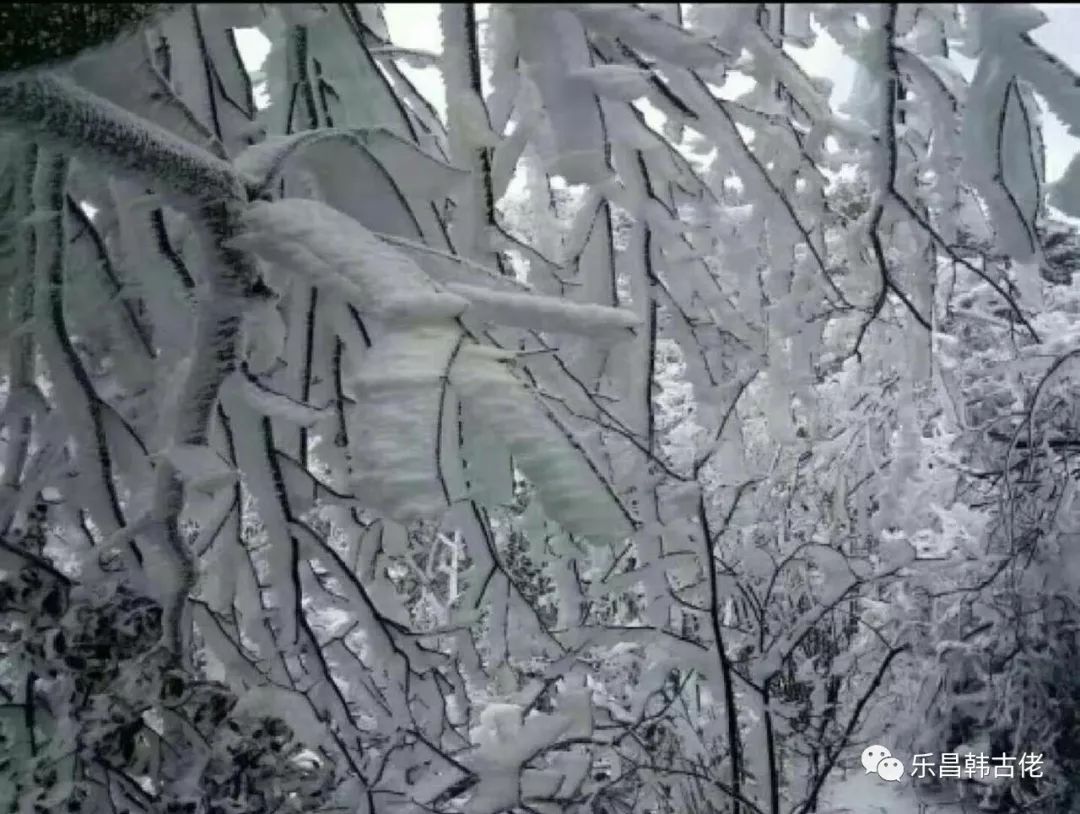 乐昌有一个经常下雪的小镇