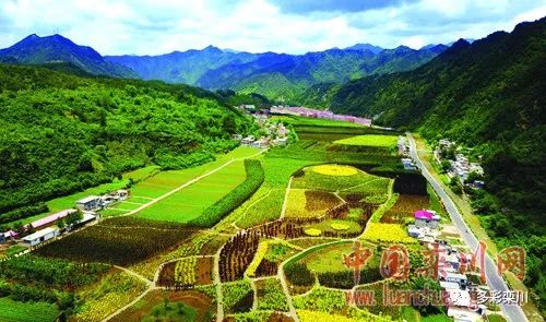 【回看2017】青山绿水绘美景 幸福生活谱新篇