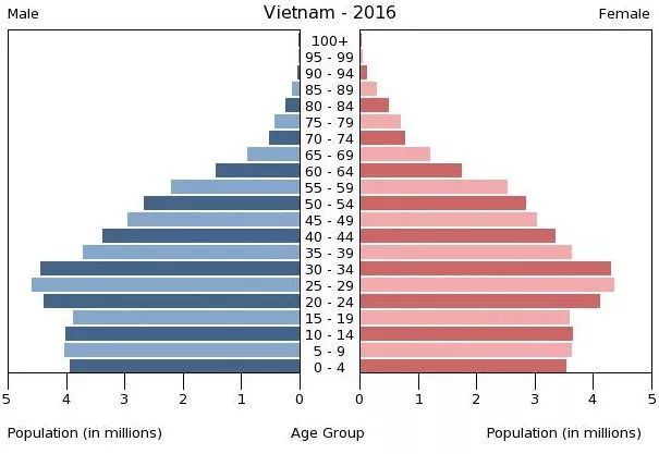 中国人口金字塔2021_人口金字塔 中国人口收入金字塔(3)