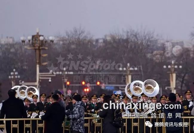 资讯天安门广场欢庆元旦红旗招展和平鸽震撼齐飞