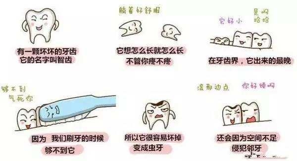 长智齿后拔还是不拔?