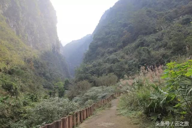 青山依苍翠荒草没旧径叹没落的广安华蓥市溪口镇玛霖岩景区