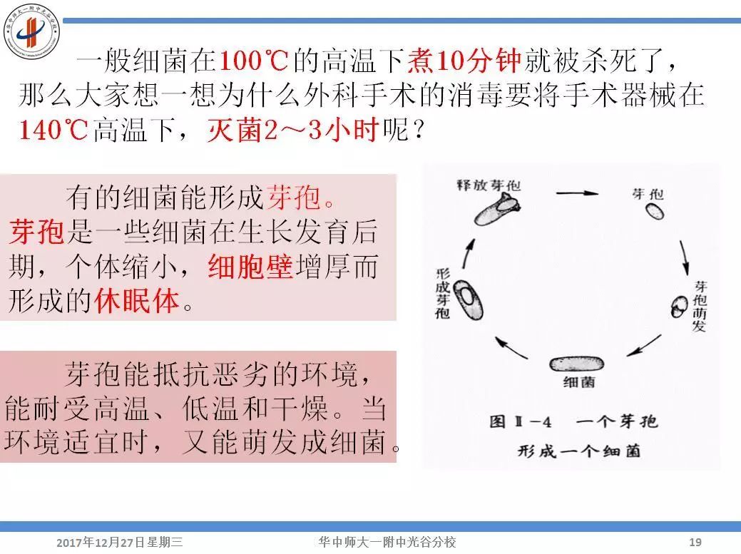 r人口英语_人口英语手抄报(3)